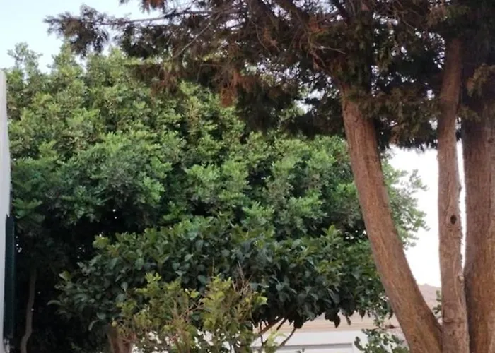 Semesterbostad Serenity *